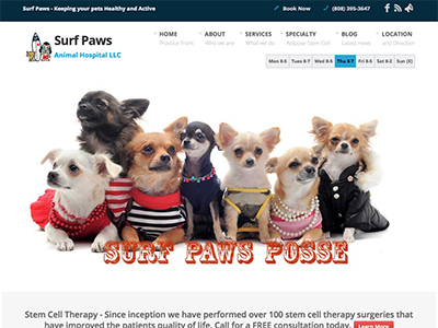 Surf Paws Animal Hospital