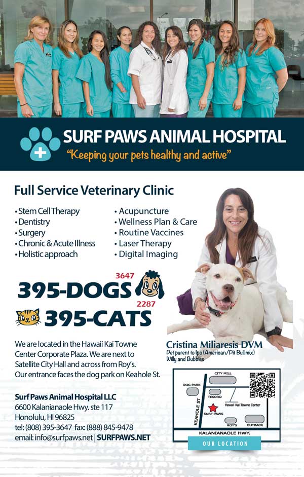 Graphics Design for Surf Paws