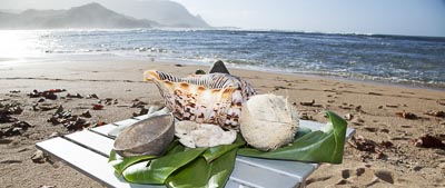 Leila and John, Hanalei, Kauai, distination weddings, beach weddings
